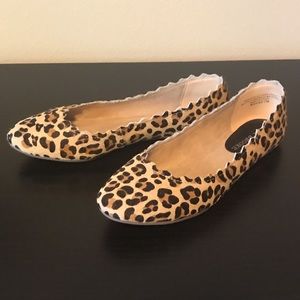 Audrey Brooke Winny Leopard Scalloped Flats -7